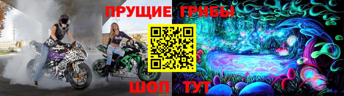 где купить наркоту  Галлюциногенные грибы Magic Shrooms  Вход с VPN  Псилоцибиновые грибы Psilocybine cubensis  Александров 